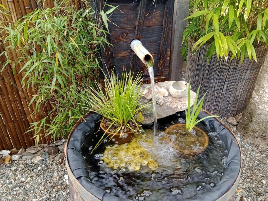 La Cabane Des Colibris Rieupeyroux  Exteriér fotografie