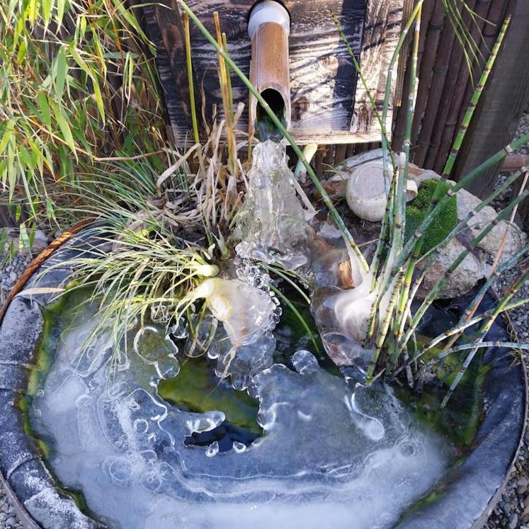 La Cabane Des Colibris Rieupeyroux  Exteriér fotografie